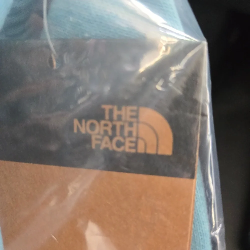 The North Face Mens Size L Utility Cargo Reef Waters Blue Coral Paramount Shorts